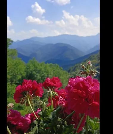 Al Cantun Holiday home Cavaliggi